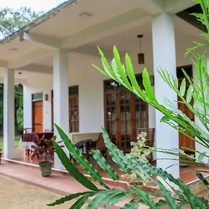 https://sigiri-lion-villa.kandyhotelsnow.com
